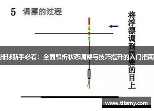 排球新手必看：全面解析状态调整与技巧提升的入门指南
