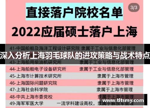 深入分析上海羽毛球队的进攻策略与战术特点