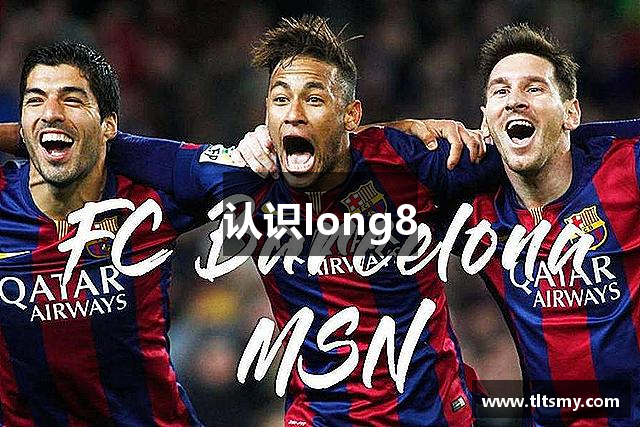 认识long8